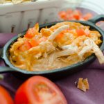 Creamy Salsa Chicken Dip is a perfect addition to any party or serve over rice for a delicious, quick weeknight dinner.