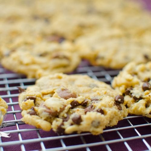 The Everything Cookie is a mix of everyone’s three favorite cookies- peanut butter, chocolate chip and oatmeal! This is sure to please everyone!