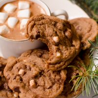 Hot chocolate cookies
