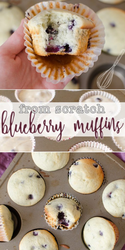 Homemade Blueberry Muffin and Quick Bread Recipe is a simple blueberry muffin batter that makes perfect muffins or an easy quick bread! They are moist, dense and absolutely scrumptious! The vanilla batter filled with blueberries combine to give you the classic blueberry muffin taste! |Cooking with Karli| #homemade #blueberry #blueberrymuffin #quickbread #healthy #fromscratch #bakery #recipe