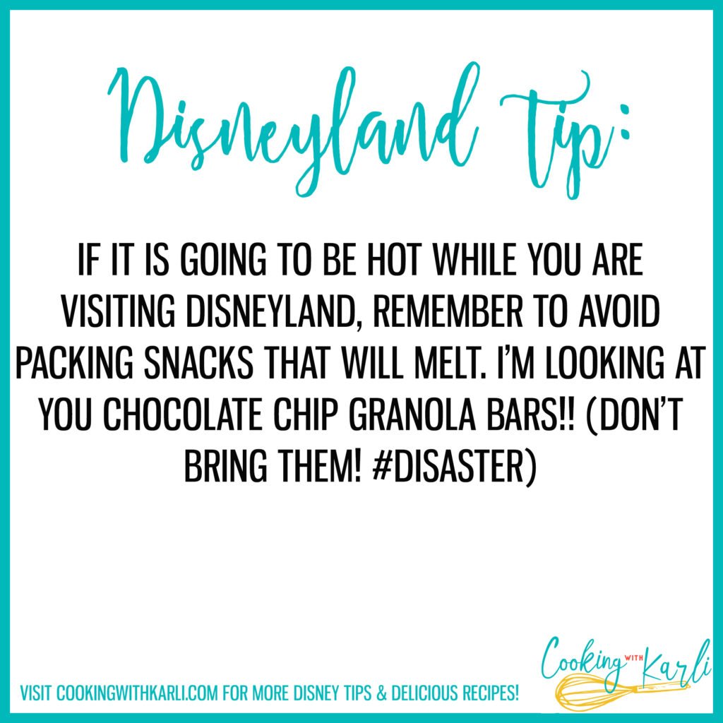 Disneyland tip about snacks and weather