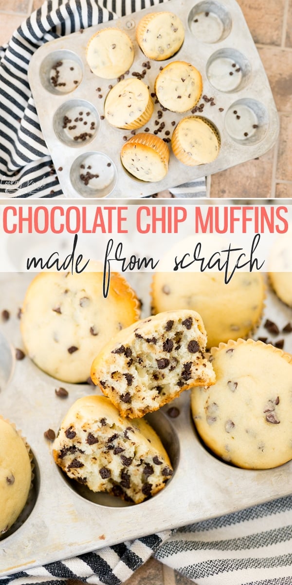 chocolate chip muffins pin image