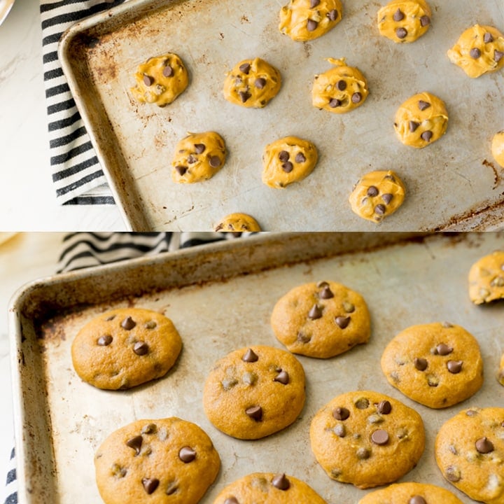 pumpkin chocolate chip cookies before and after baking