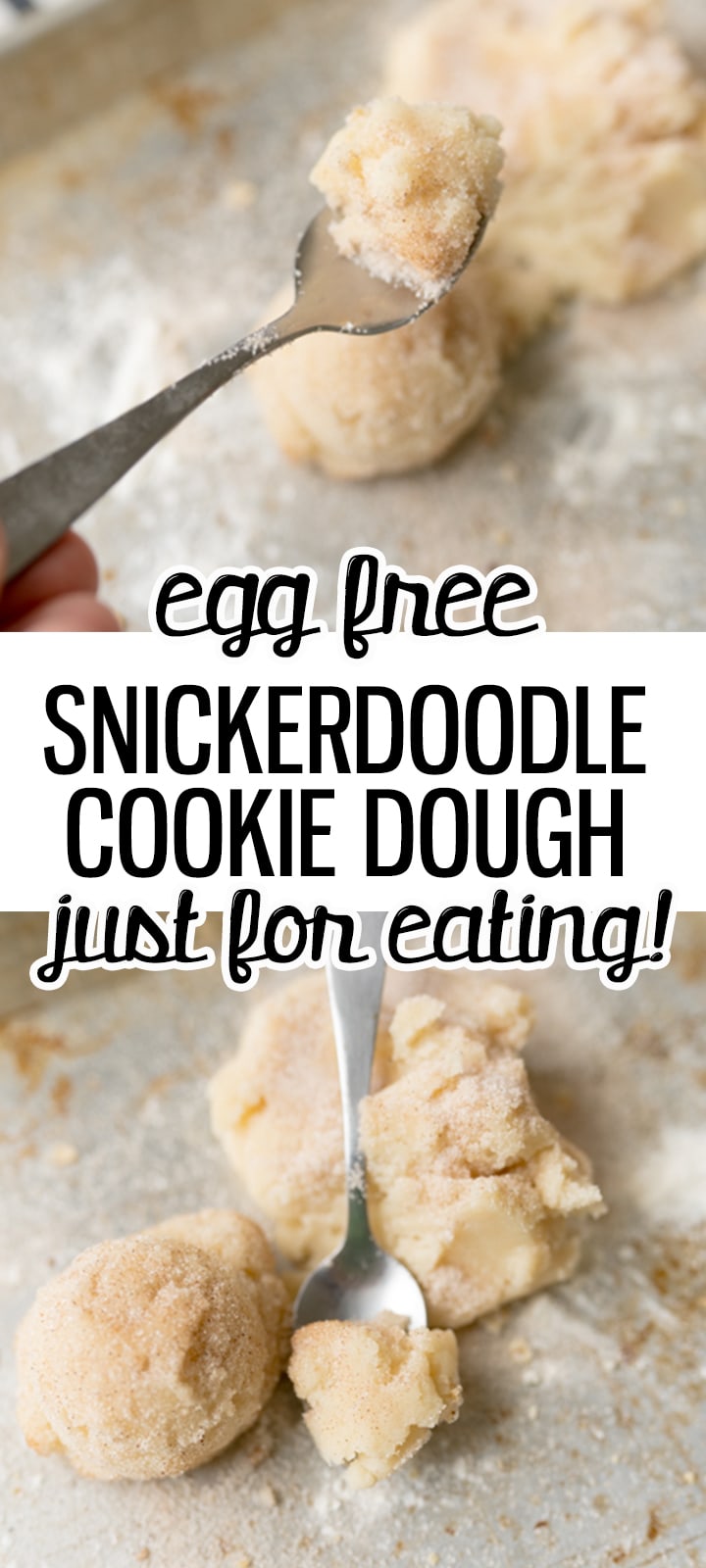 snickerdoodle pin image