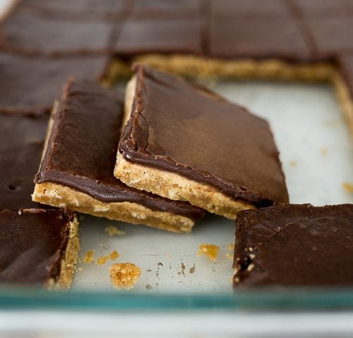 peanut butter bars with chocolate icing, cut and served.