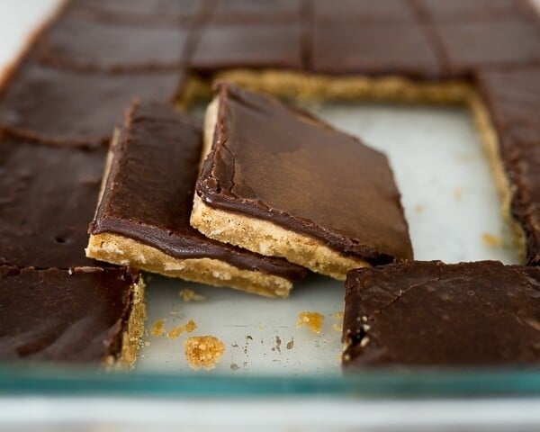 peanut butter bars with chocolate icing, cut and served.