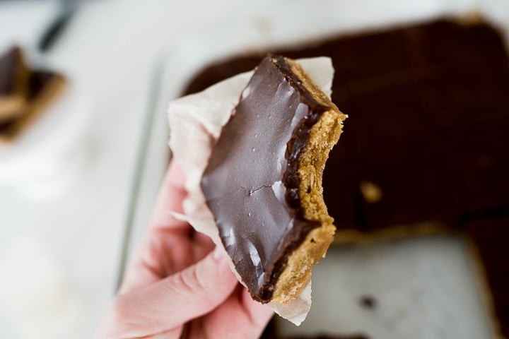 peanut butter bars with chocolate icing