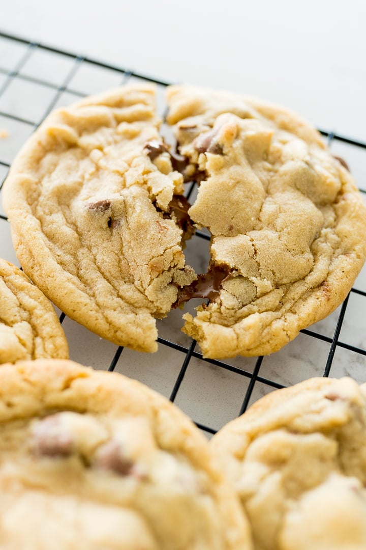 chocolate chip cookie recipe photo