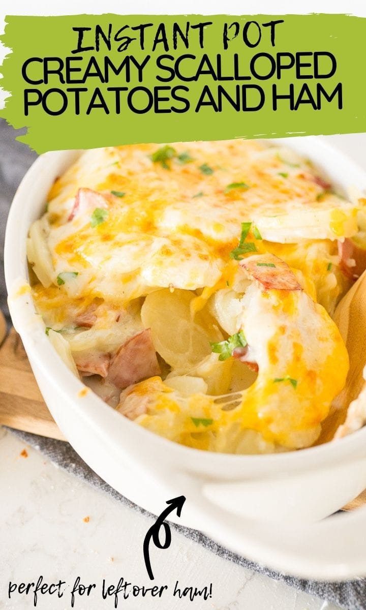 pin image for scalloped potatoes and hame