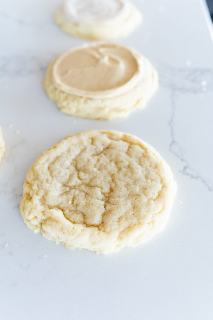 sugar cookie with no frosting.