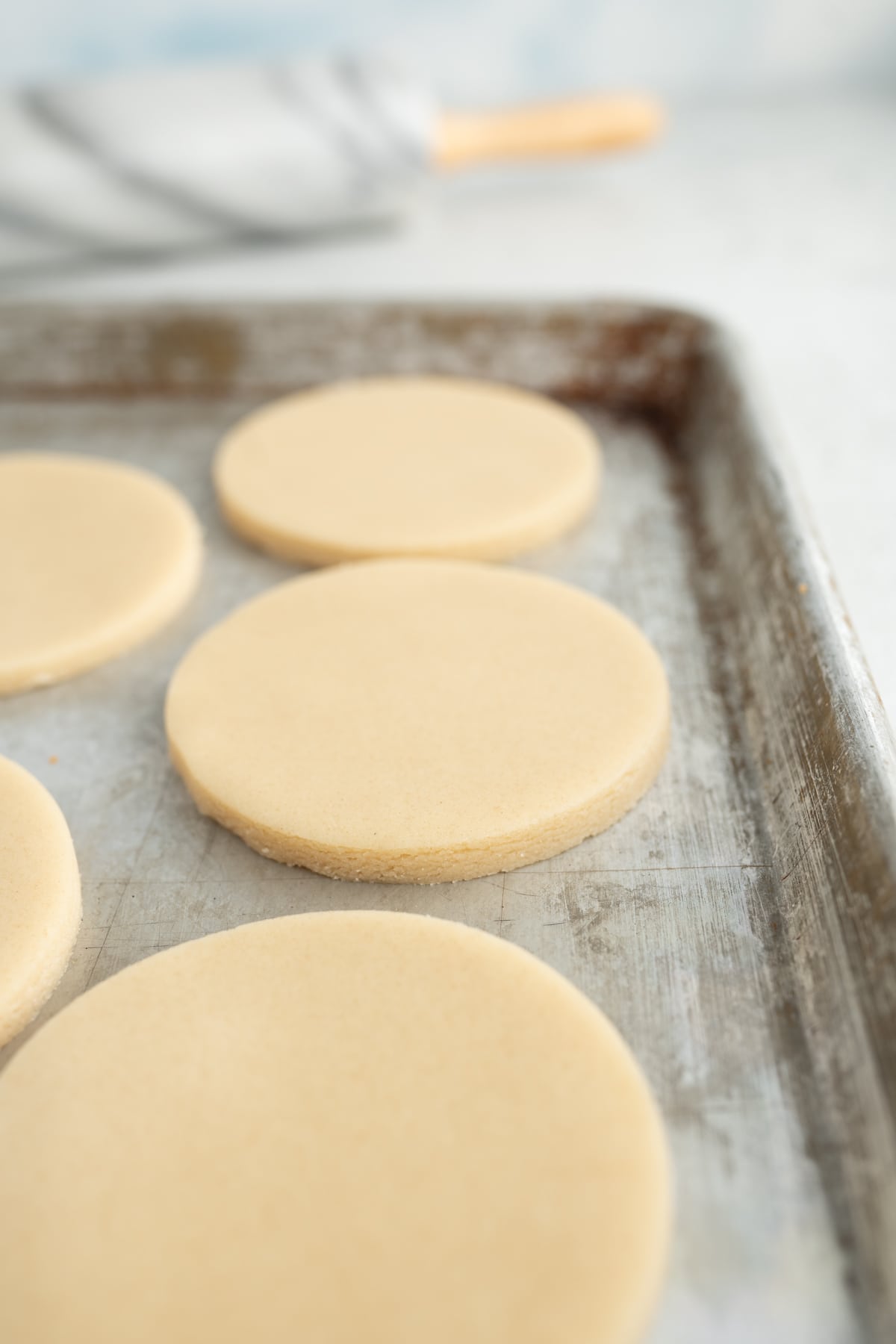 un-cooked sugar cookies on a cookie sheet. 