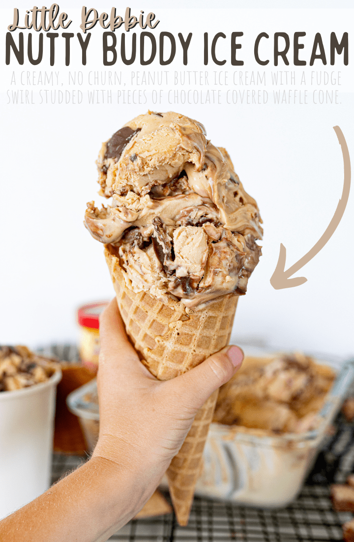 pin image for nutty buddy peanut butter ice cream