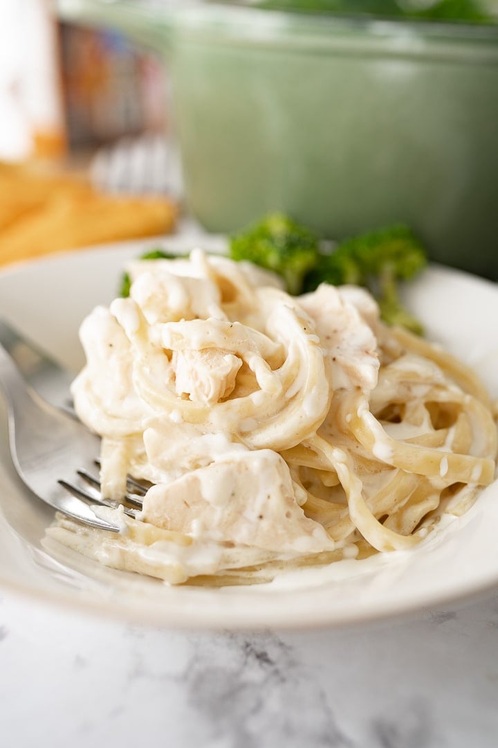 Chicken Alfredo on a plate with broccoli. 