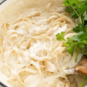 Chicken Alfredo in a big pot, fully cooked with fresh, parsley.