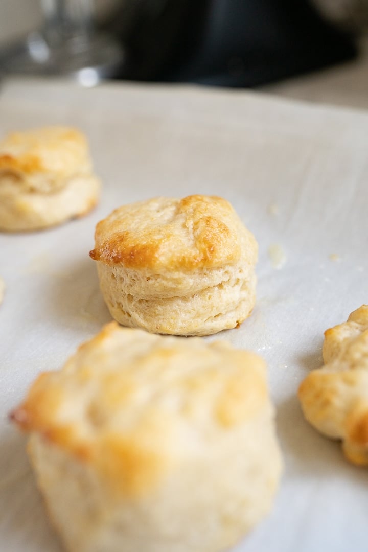 Golden homemade buttermilk biscuits on a baking sheet. 