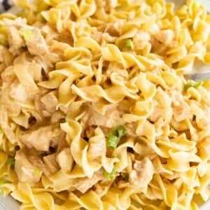 Close up of chicken stroganoff mixed with egg noodles.