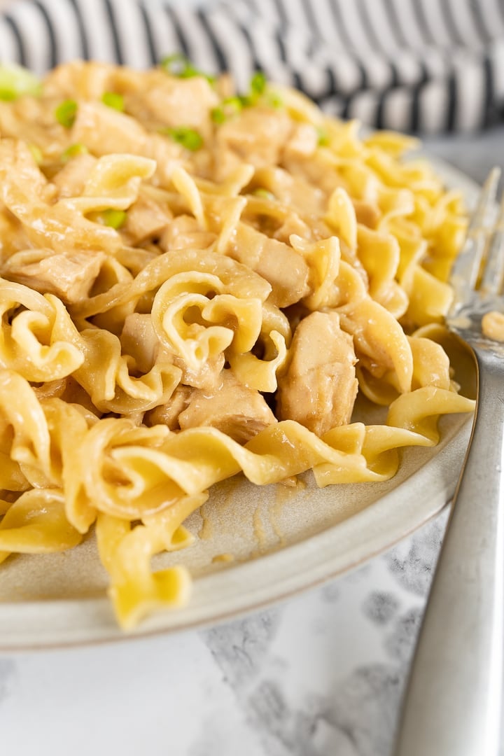 A partial view of a plate with egg noodles topped with chicken stroganoff. 