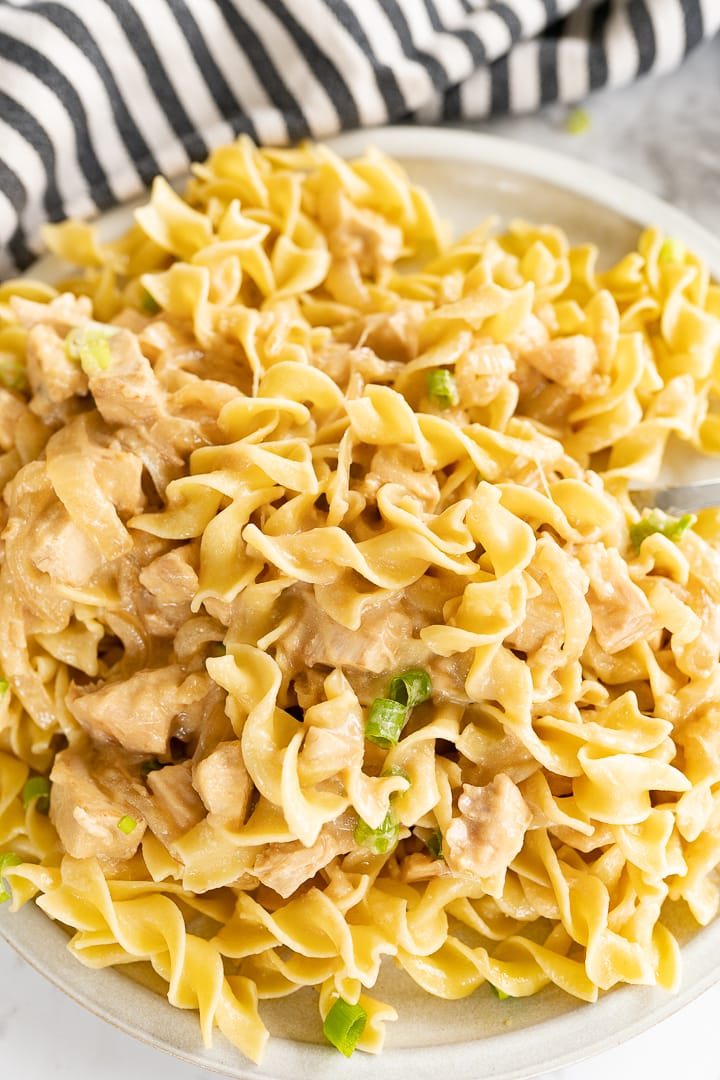 Close up of chicken stroganoff on egg noodles, sitting on a plate. 