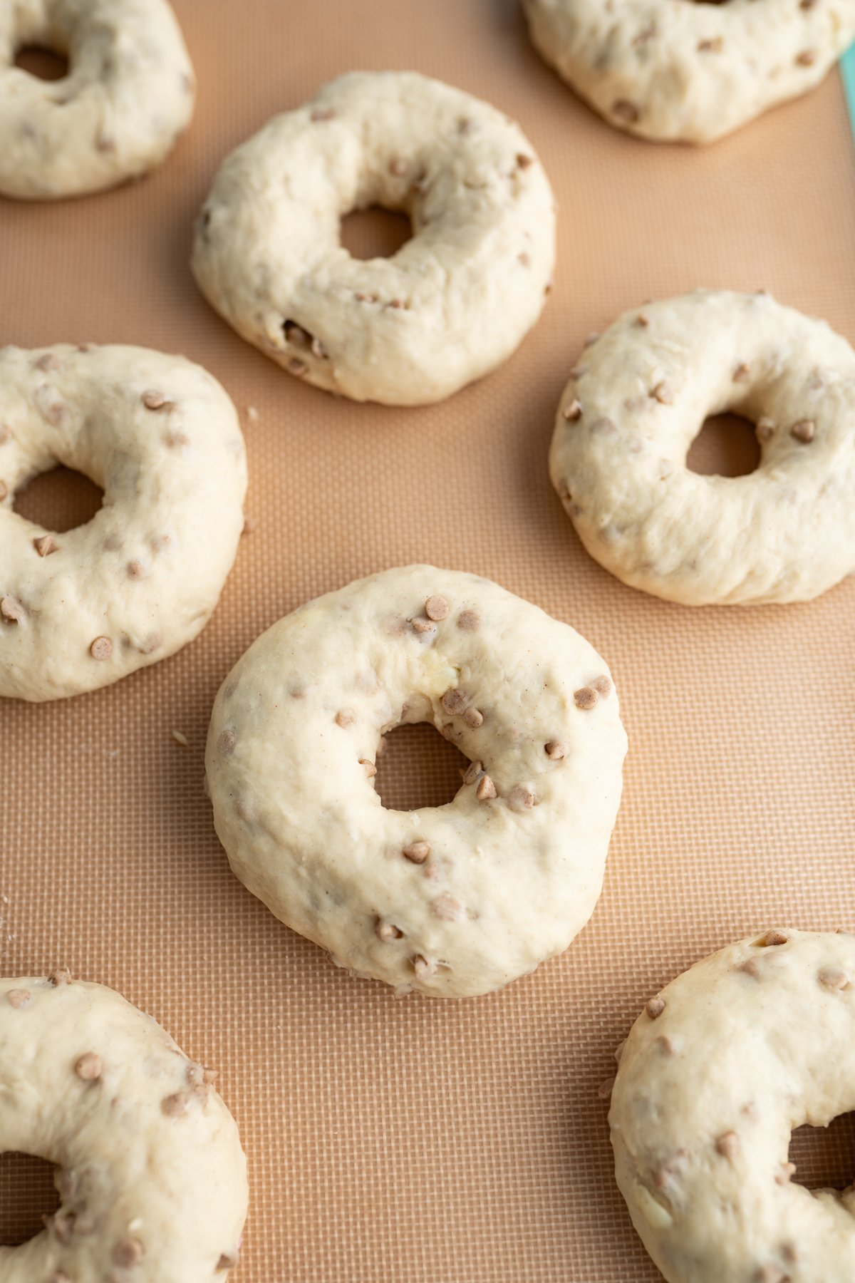 Cinnamon crunch bagels after rising prior to being baked. 