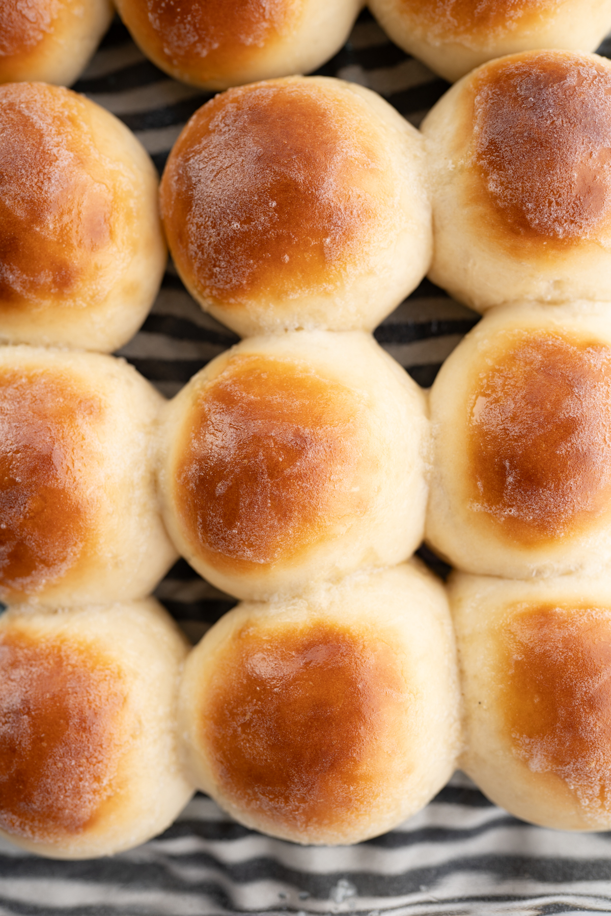 Aerial view of a pan of homemade rolls. 
