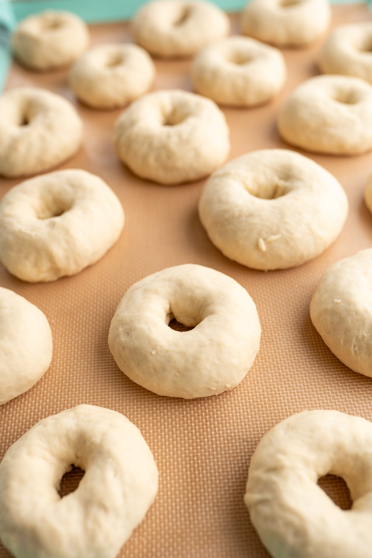 Mini bagels prior to being topped with seasonings and being baked. 