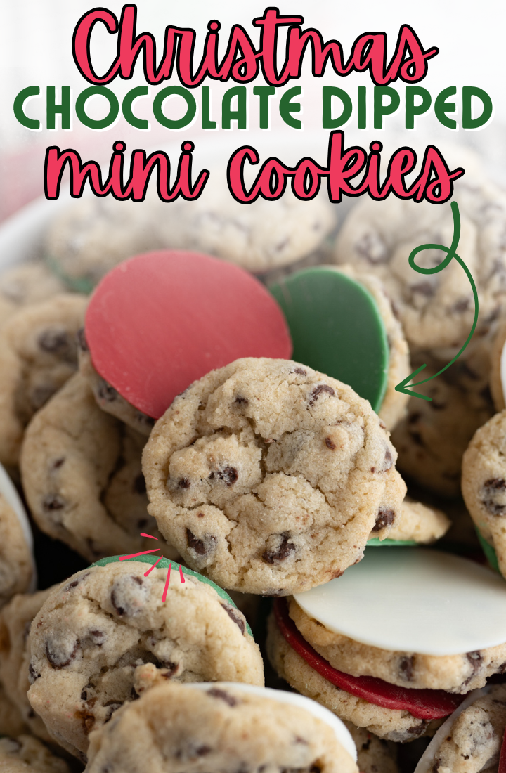 Christmas chocolate chip cookies with the bottom dipped in chocolate.