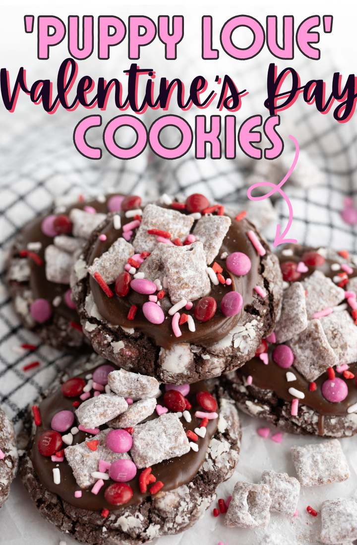 Chocolate cookies with chocolate peanut butter ganache and valentine's sprinkles.