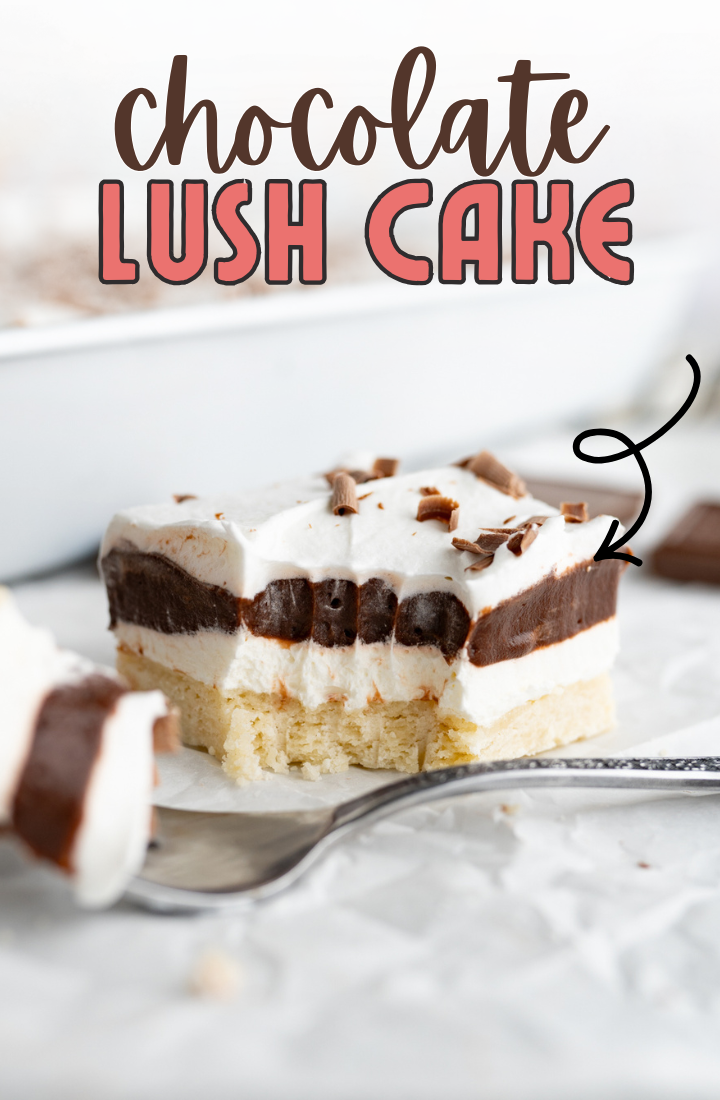Side view of a layered chocolate lush cake.